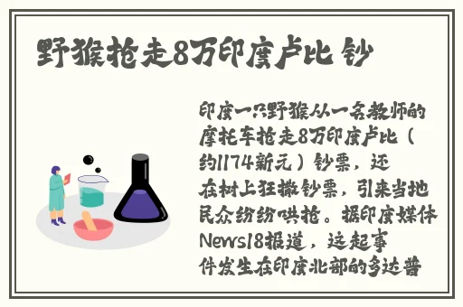 后营露营无增减第